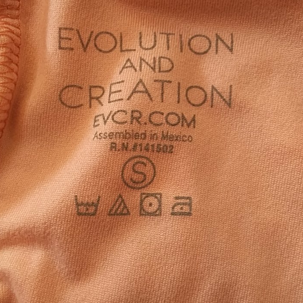 Evolution And Creation Top. - image 4